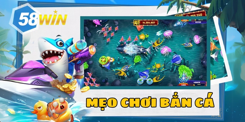 meo choi ban ca 1